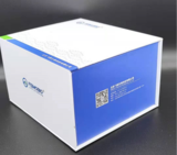 人白介素4(IL-4)ELISA試劑盒96T